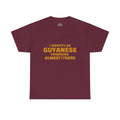 Guyanese Tee - "I Identify As Guyanese Pronouns: ALMOST/THERE" Shirt