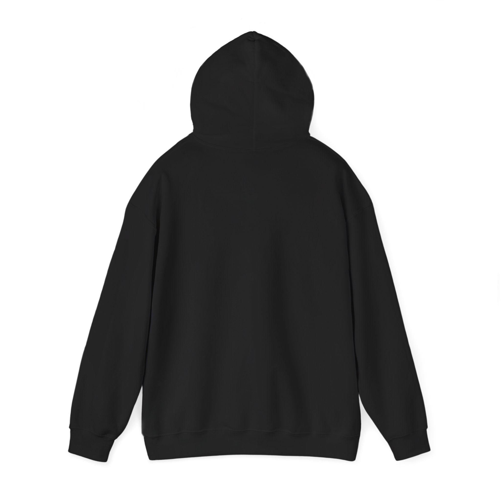 Guyana Flag Hoodie — Black Graphic Pullover